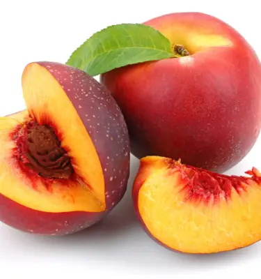 Nectarina