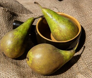 Pera conferencia de La Grosella