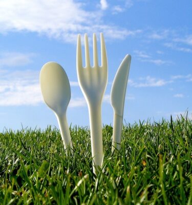 Cubiertos compostables